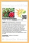 Mobile Preview: Tomate 'Bodendeckertomate', 10 Samen